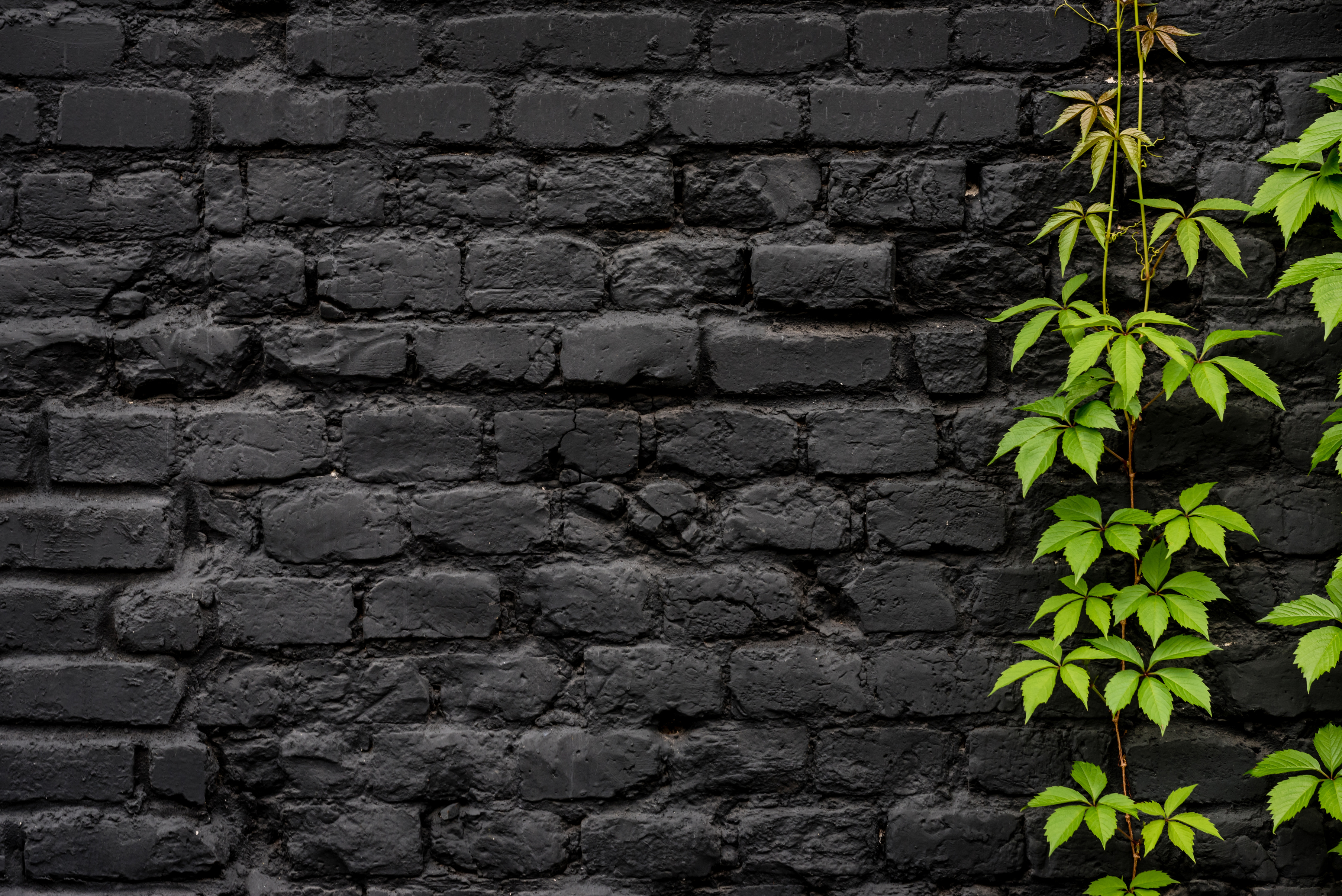 Black Brick wall